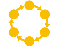 Circulation System