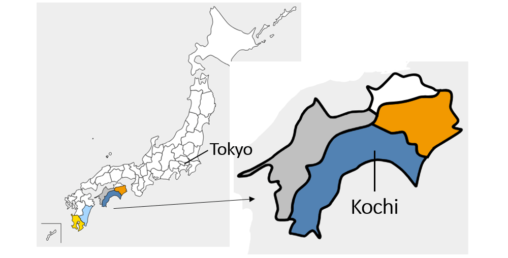 Kochi